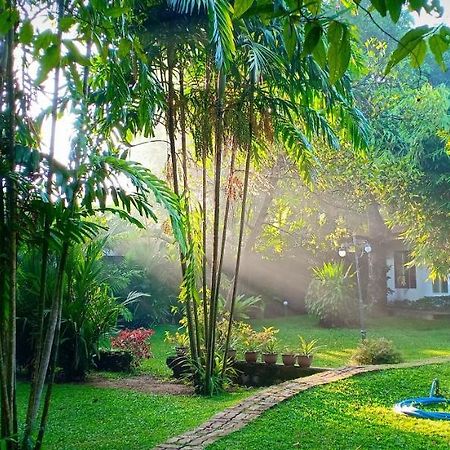 Mango House Japanese Guest House Негомбо Экстерьер фото