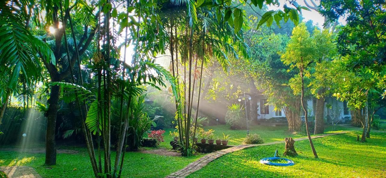 Mango House Japanese Guest House Негомбо Экстерьер фото