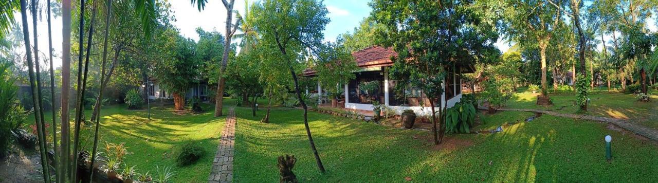 Mango House Japanese Guest House Негомбо Экстерьер фото